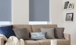light filter roller blinds