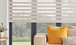 vision blinds