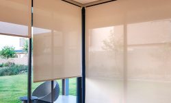 screen roller blinds